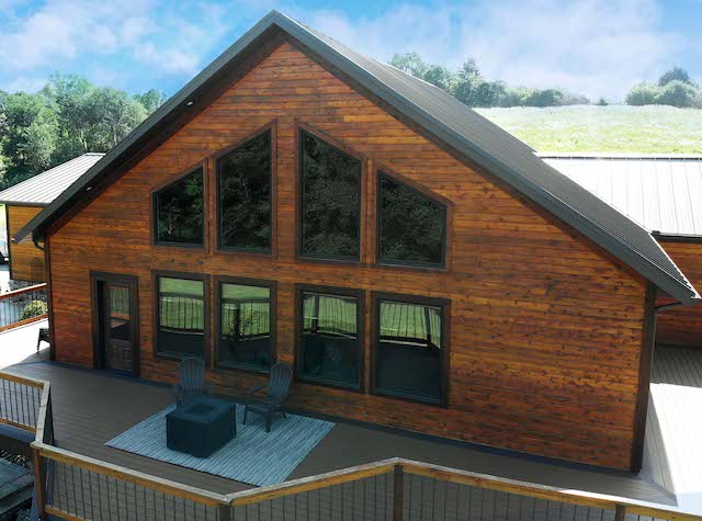 Endure Shaped Windows